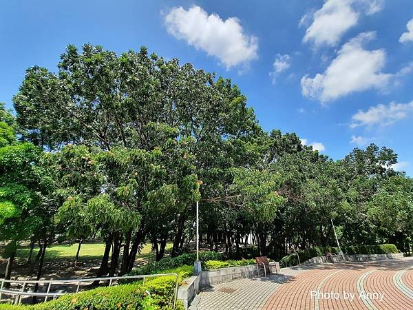 健康公園43.jpg