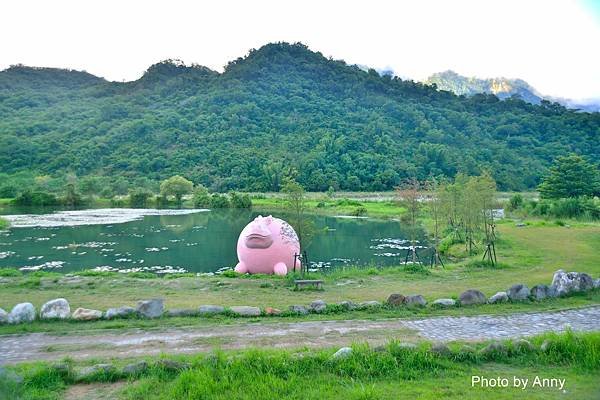 鹿野鄉濕地6.jpg