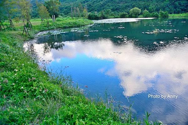 鹿野鄉濕地17.jpg