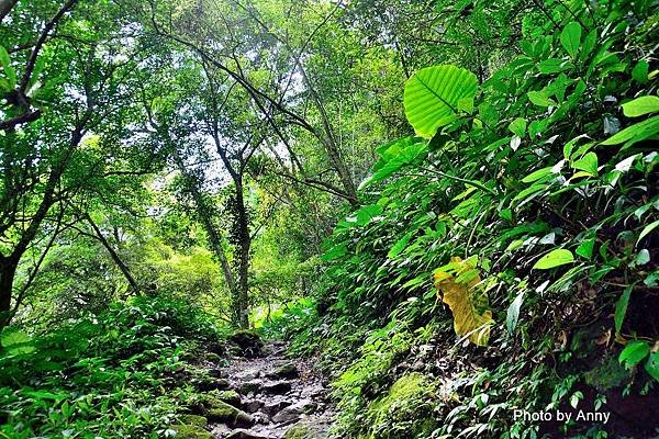 馬胎古道65.jpg