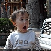 這裡怎ㄇ那ㄇ美阿