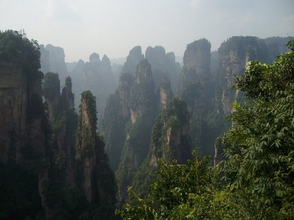 20100209031537997.jpg