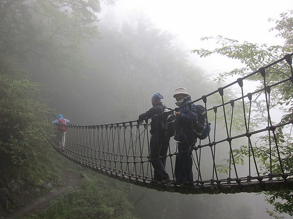 照片 229.jpg