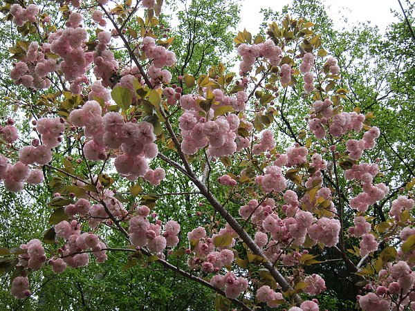 照片 315.jpg