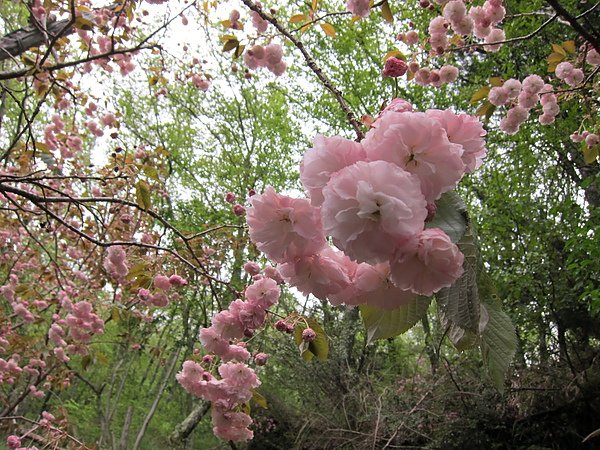 照片 323.jpg