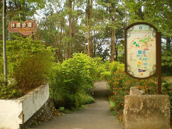 中正後山步道 11
