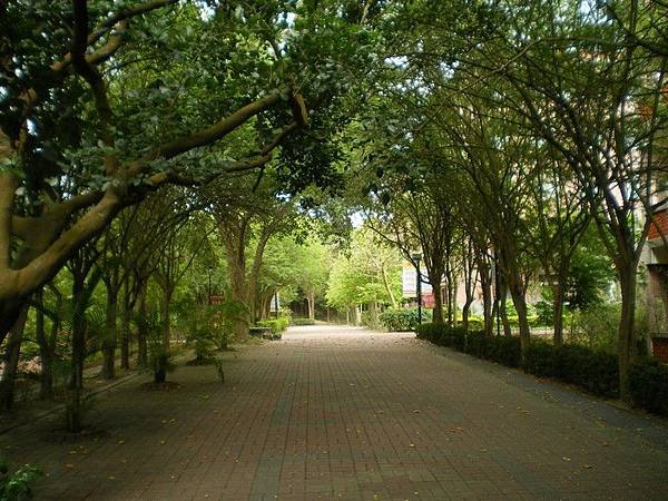 南華大學 29.JPG