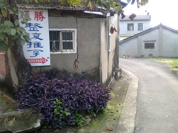 影像0382.jpg