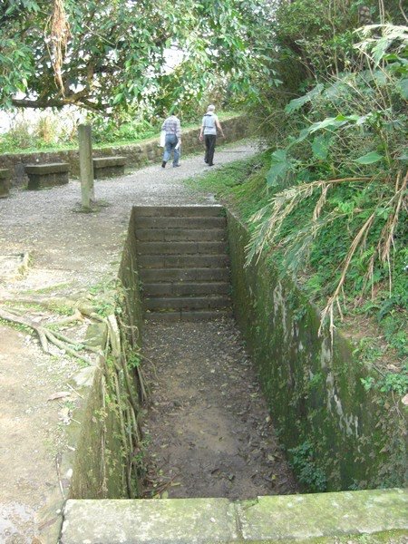 pic 99.jpg