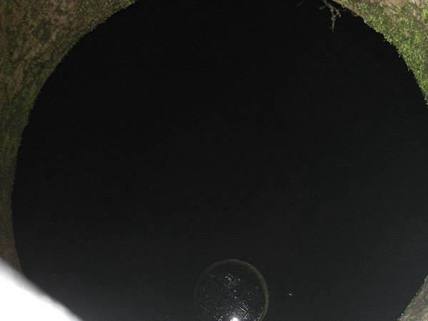 pic 120.jpg