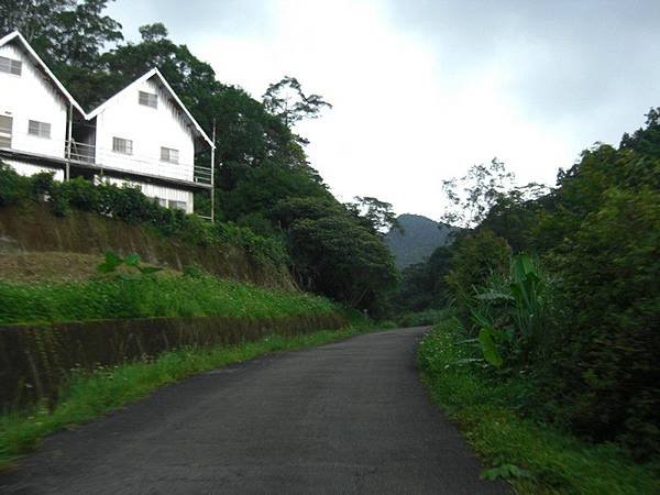 嶺腳望古十分農用道路 60.jpg
