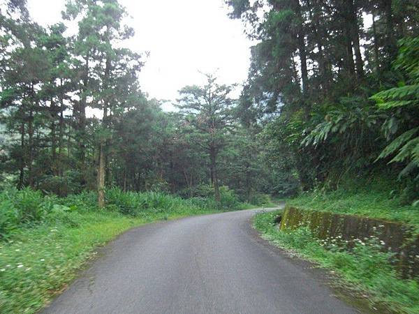 嶺腳望古十分農用道路 63.jpg