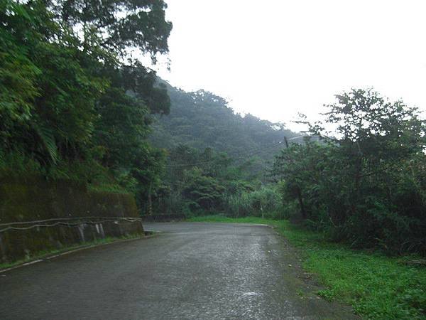嶺腳望古十分農用道路 75.jpg