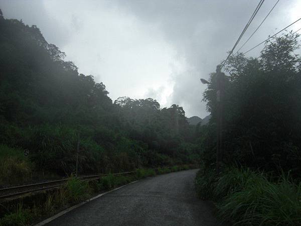 嶺腳望古十分農用道路 108.jpg