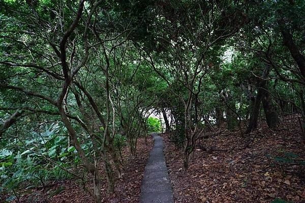 美崙山公園 45.jpg