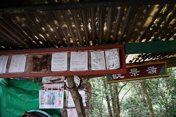 清水登山步道 46.jpg