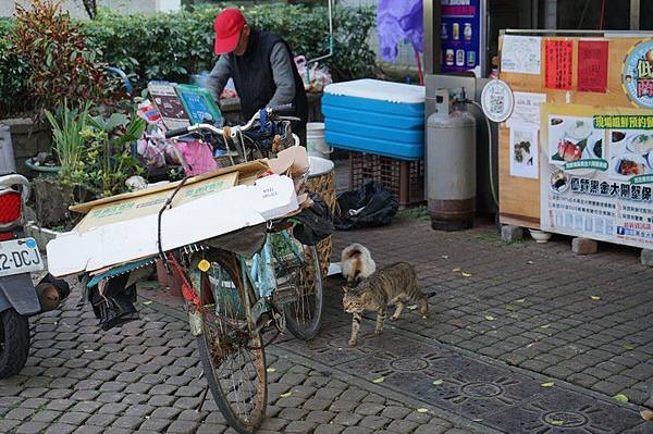 雙溪車站 11.jpg