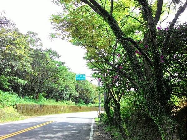 北37 10.jpg