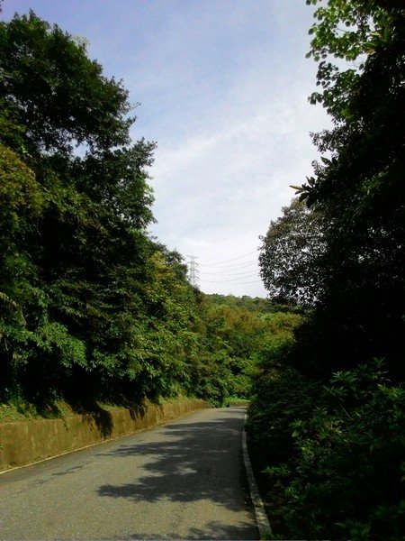 雙泰產業道路 15.jpg