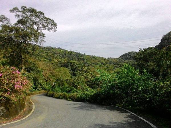 雙泰產業道路 20.jpg