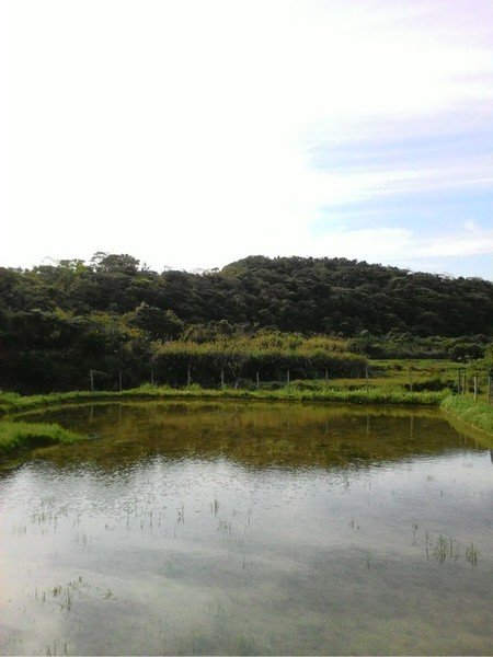 雙泰產業道路 64.jpg