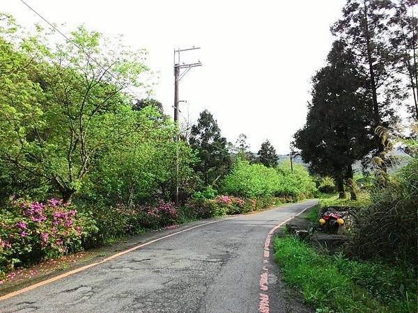雙泰產業道路 65.jpg