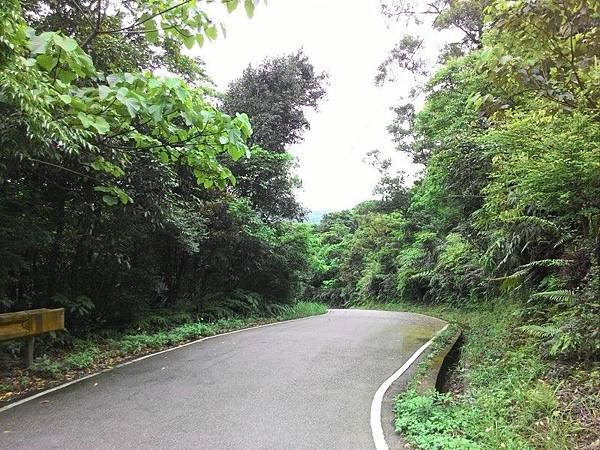 華新二路 02.jpg