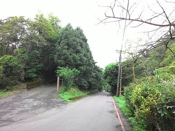 瑪七產業道路 05.jpg