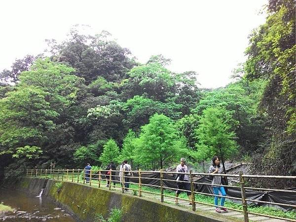 瑪七產業道路 08.jpg