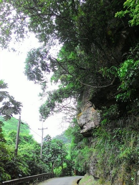 瑪七產業道路 13.jpg