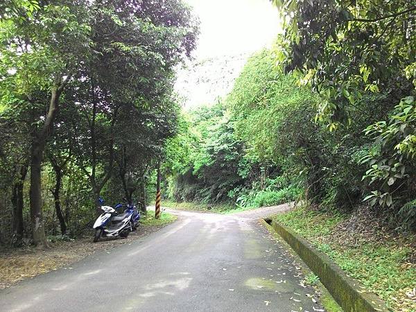 瑪七產業道路 23.jpg