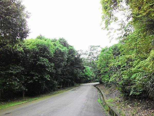 瑪七產業道路 25.jpg