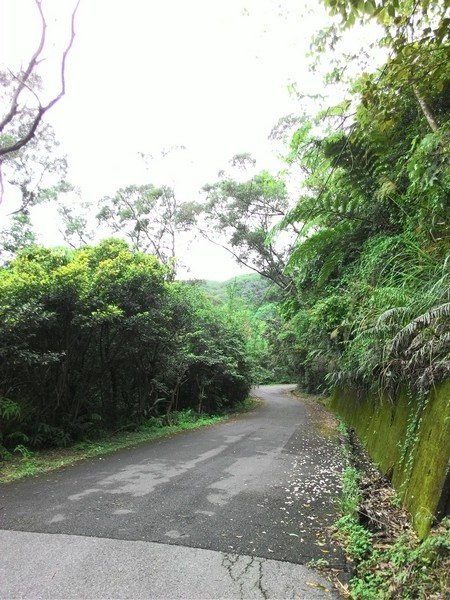 瑪七產業道路 28.jpg