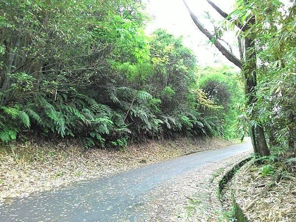 瑪七產業道路 29.jpg