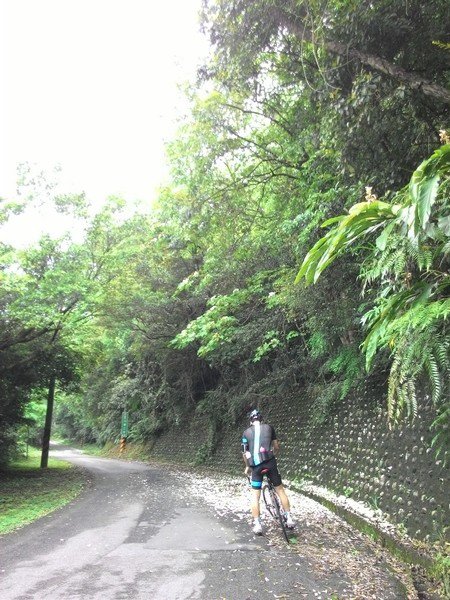 瑪七產業道路 31.jpg