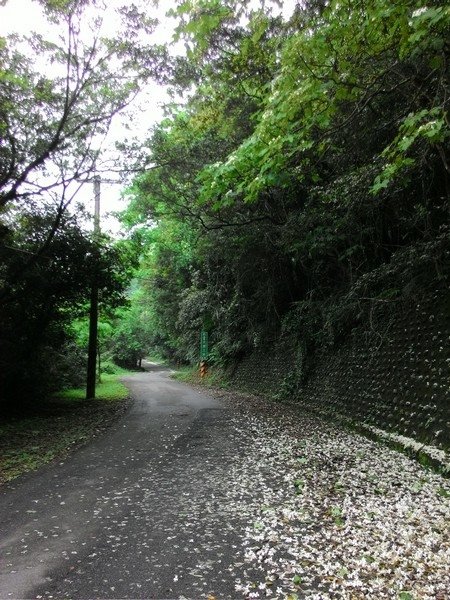 瑪七產業道路 33.jpg