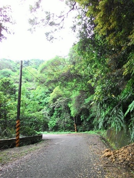 瑪七產業道路 48.jpg