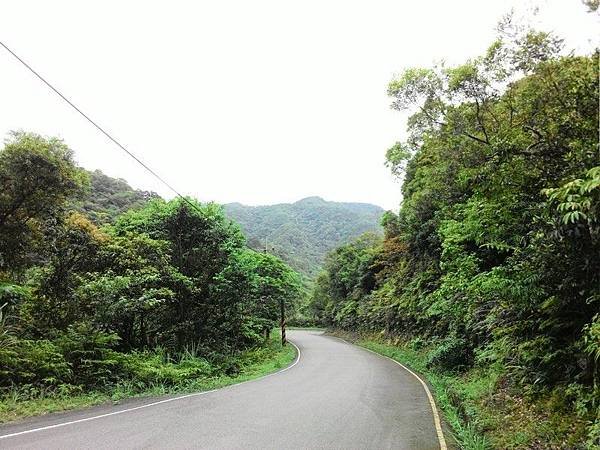 瑪七產業道路 52.jpg