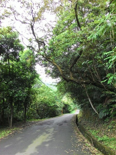 瑪七產業道路 58.jpg