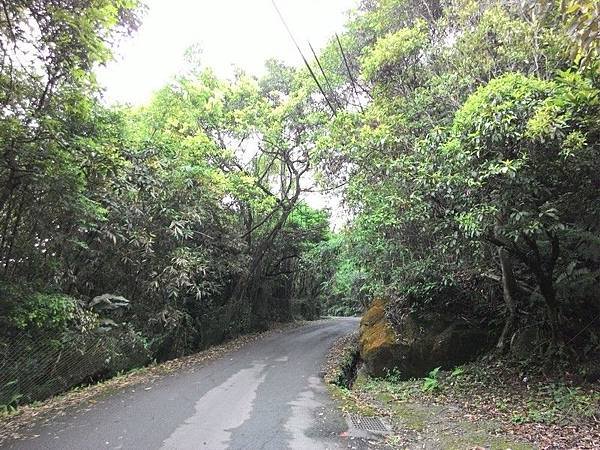 瑪七產業道路 66.jpg