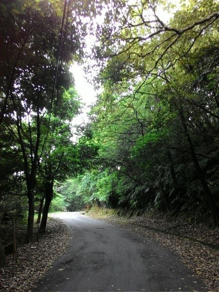 瑪七產業道路 68.jpg