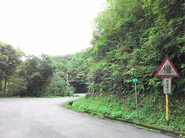 瑪七產業道路 71.jpg