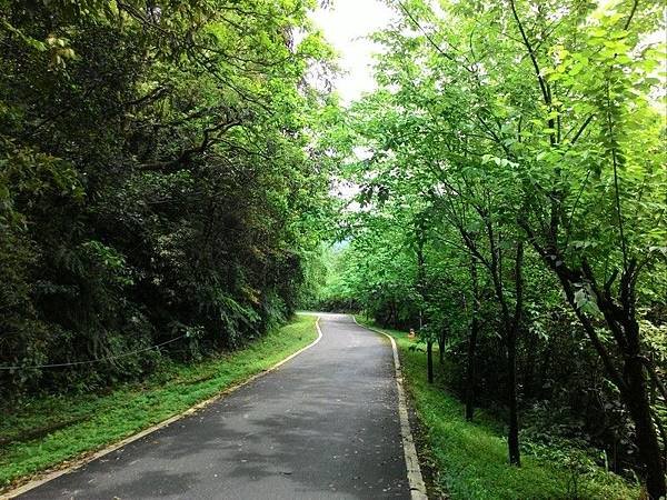 雙泰產業道路 41.jpg
