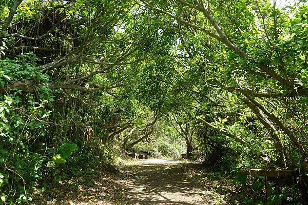 麟山鼻步道 43.jpg