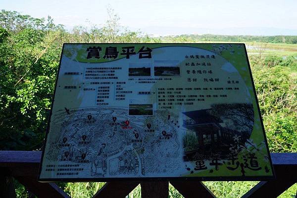 無尾港 34.jpg