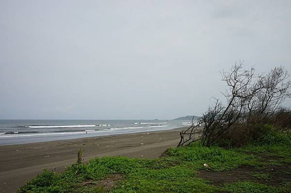 頂寮生態公園 29.jpg