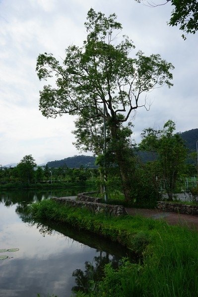 雷公埤 06.jpg