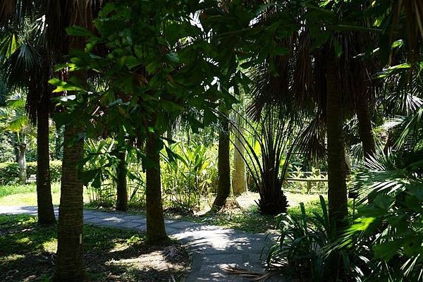 台北植物園 45.jpg