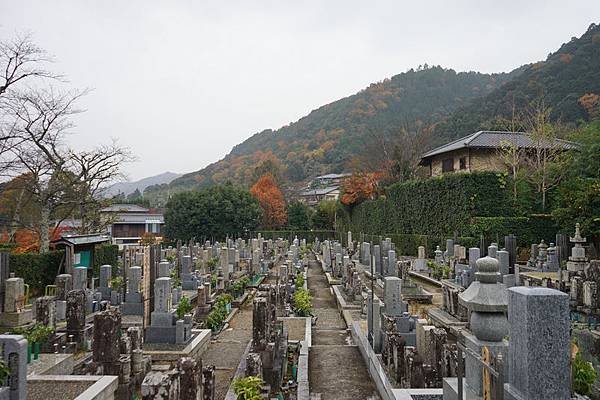 219 化野念佛寺 14.jpg