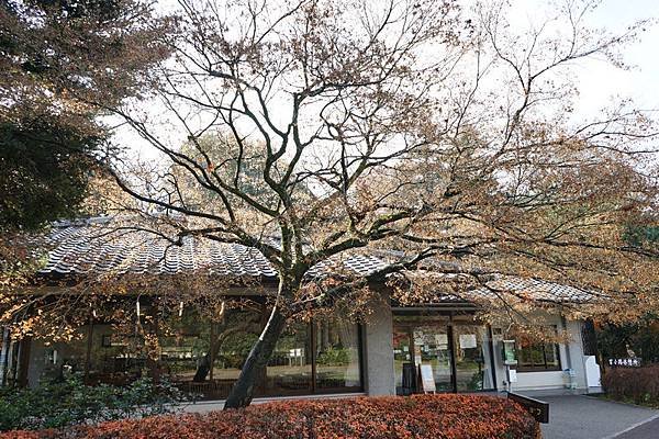 301 京都御苑 08.jpg